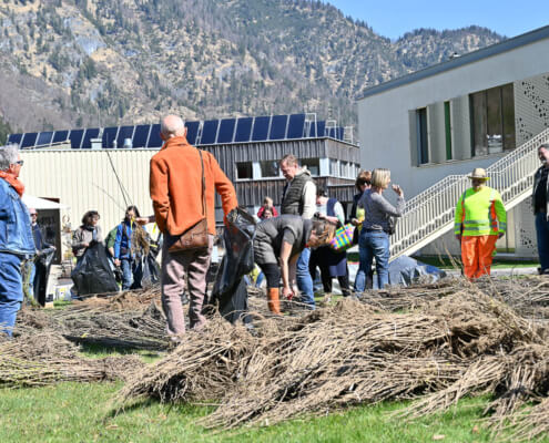 Menschen verteilen Gehölze auf Wiese vor Gebäuden, Inklusion und soziale Teilhabe in Salzburg