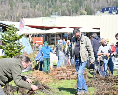 Menschen sortieren Wildgehölze bei einer sozialen Aktion am Gartencenter in Salzburg