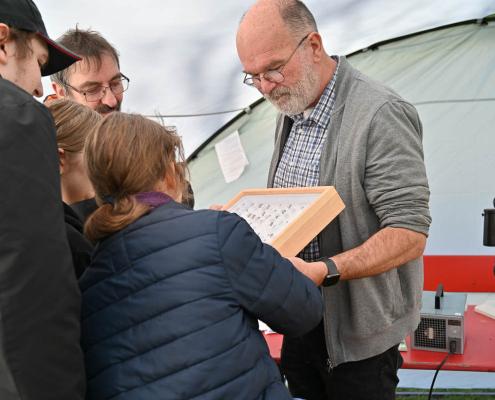 Gruppe betrachtet gemeinsam mit einem Experten eine Insektensammlung beim inklusiven Bildungsevent