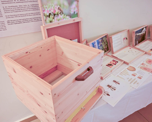 Offene Holz-Bienenbeute, Infomaterial und Fotos zu Bienen und Imkerei auf weißem Tisch
